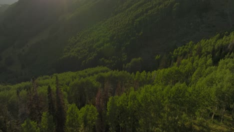 Fpv-Aéreo-Sobre-La-Cordillera-De-Travesía-Y-El-Bosque-Al-Atardecer-1