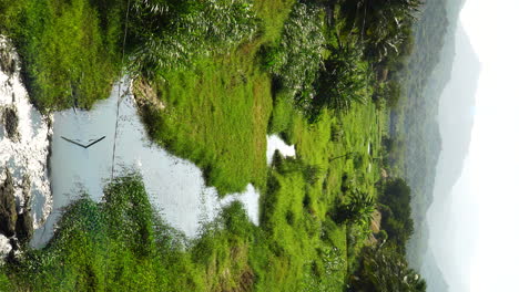 vertical of natural tropical mountains rainforest landscape with stream river water in green natural environment