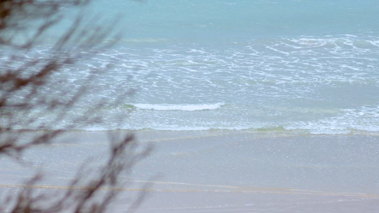 Gentle waves roll onto the shore, framed by coastal vegetation, capturing the serene beauty of Great Ocean Road, Australia