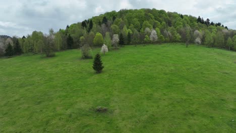 El-Dron-Se-Desliza-Bajo-Sobre-Exuberantes-Prados-Verdes-Y-árboles-En-Flor-En-Primavera,-Frente-A-Espectaculares-Cielos-Nublados.