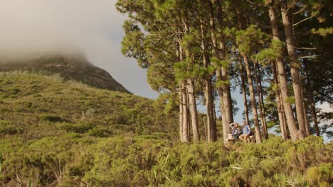 pareja de ancianos activos sentados en un banco en el bosque