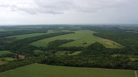 Left-trucking-Aerial-drone-shot-of-a-long-red-sand-dirt-road-surrounded-by-fields-of-farmland-growing-tropical-green-sugar-cane-in-Tibau-do-Sul,-Rio-Grande-do-Norte,-Brazil-on-an-overcast-day