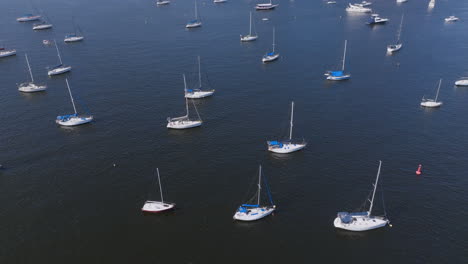 Very-slow-and-close-aerial-flyover-of-white-sailboats-anchored-in-Botafogo-Bay-in-Rio-de-Janeiro