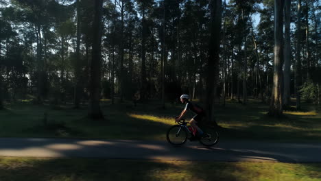 cyclist riding a bike on a path through a forest