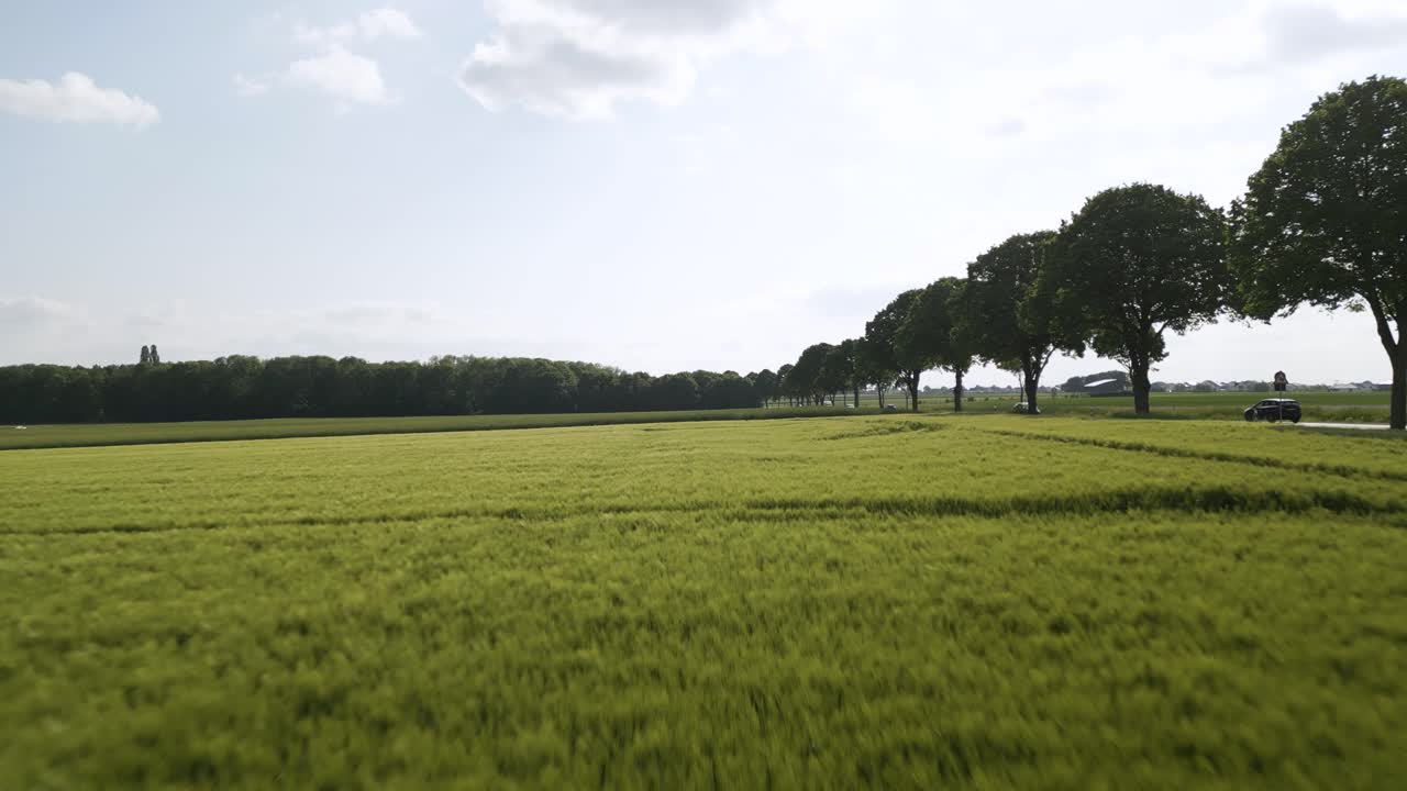 Ripresa aerea con drone in movimento in avanti su verdi terreni agricoli accanto a una strada con auto di passaggio a Brunswick, Germania, in una giornata di sole.