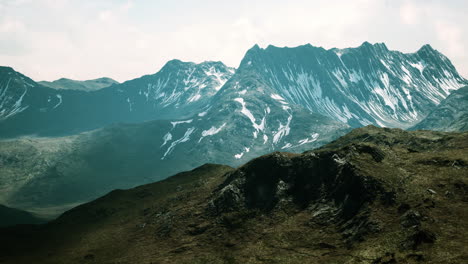 sunny landscape with views of snow-capped mountains and meadow