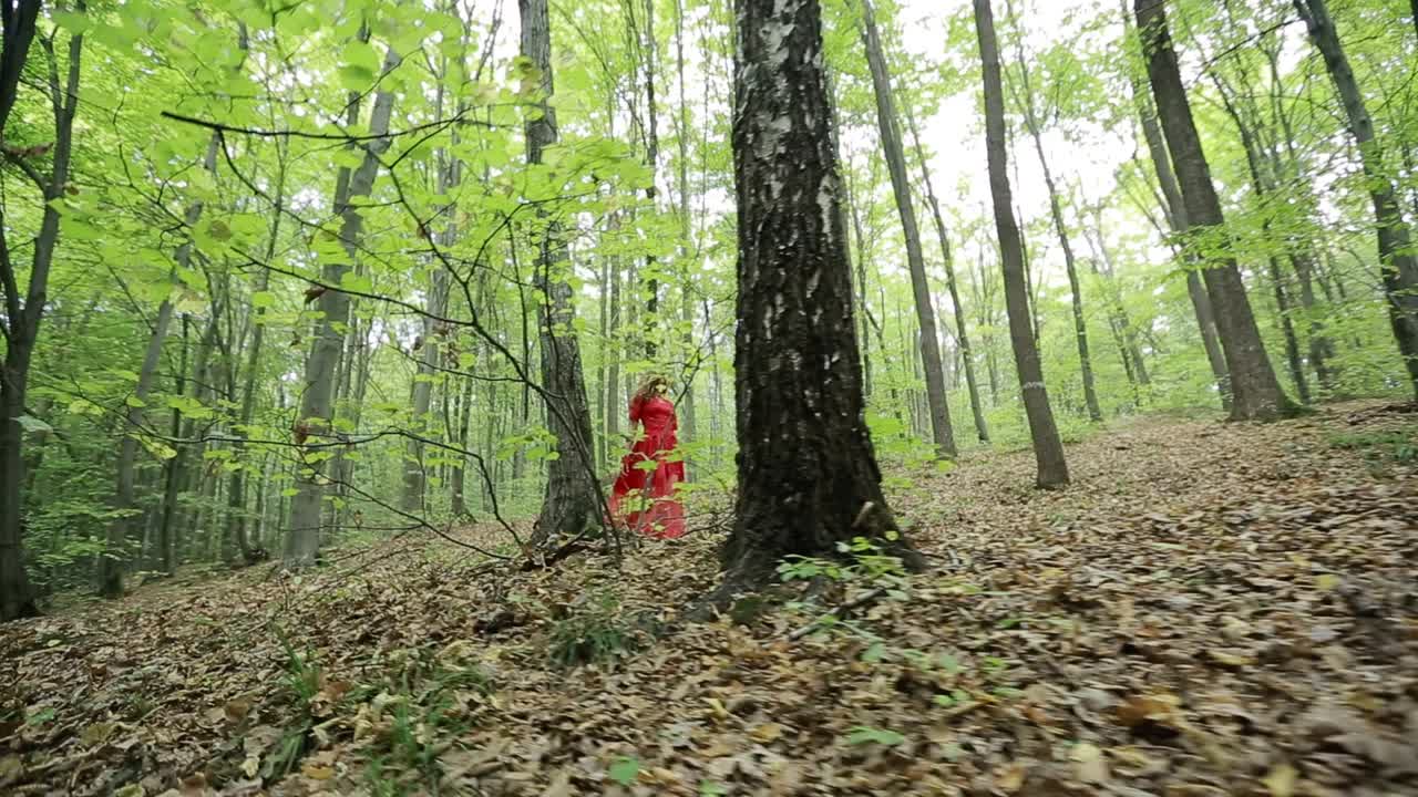 Pretty Woman Explores Beautiful Forest. Pretty woman in a long red dress explores beautiful forest