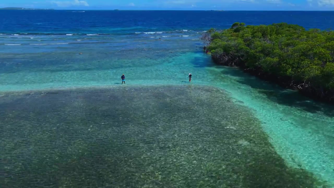 Et betagende luftfoto af en pige i badetøj, omgivet af det turkise vand fra en puertoricansk ø.