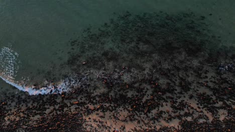 Wellen-Plätschern-An-Der-Felsigen-Küste-Von-Noosa-Heads-–-Noosa-Nationalpark-–-Noosaville,-Queensland,-Australien