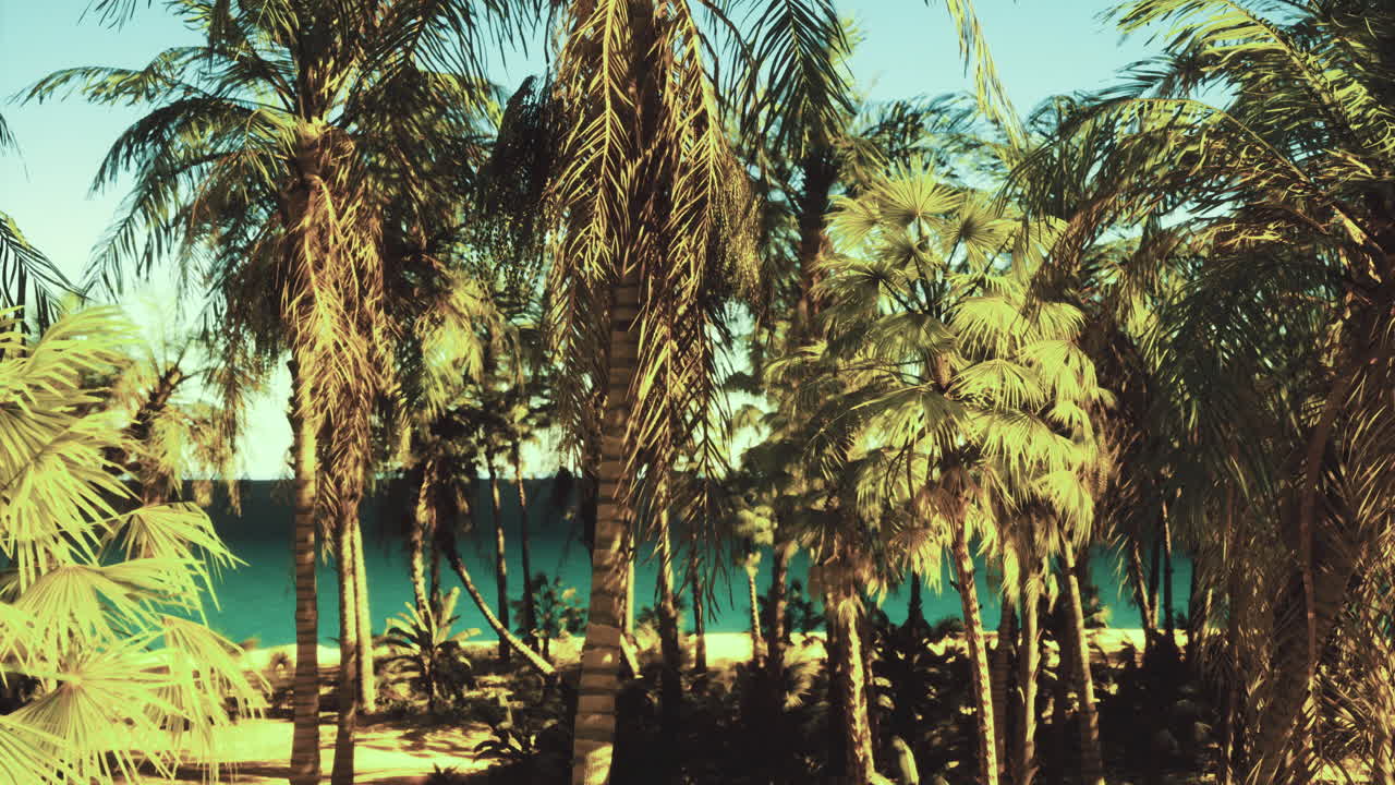 Lush palm trees frame a serene beach view under bright sunlight