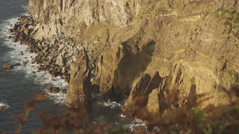 el pájaro vuela por los acantilados junto al mar en las azores a la hora dorada, desde la colina