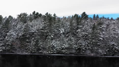 Luftrutsche-Nach-Rechts-Vorbei-An-Einem-Schneebedeckten-Waldufer-Mit-Dunklen-Reflexionen-Im-Kalten-Wasser-Darunter