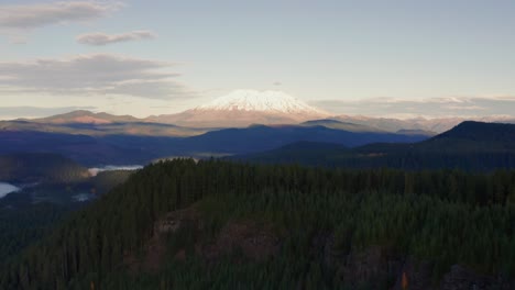 smooth flight over lush pine canopy with mount st