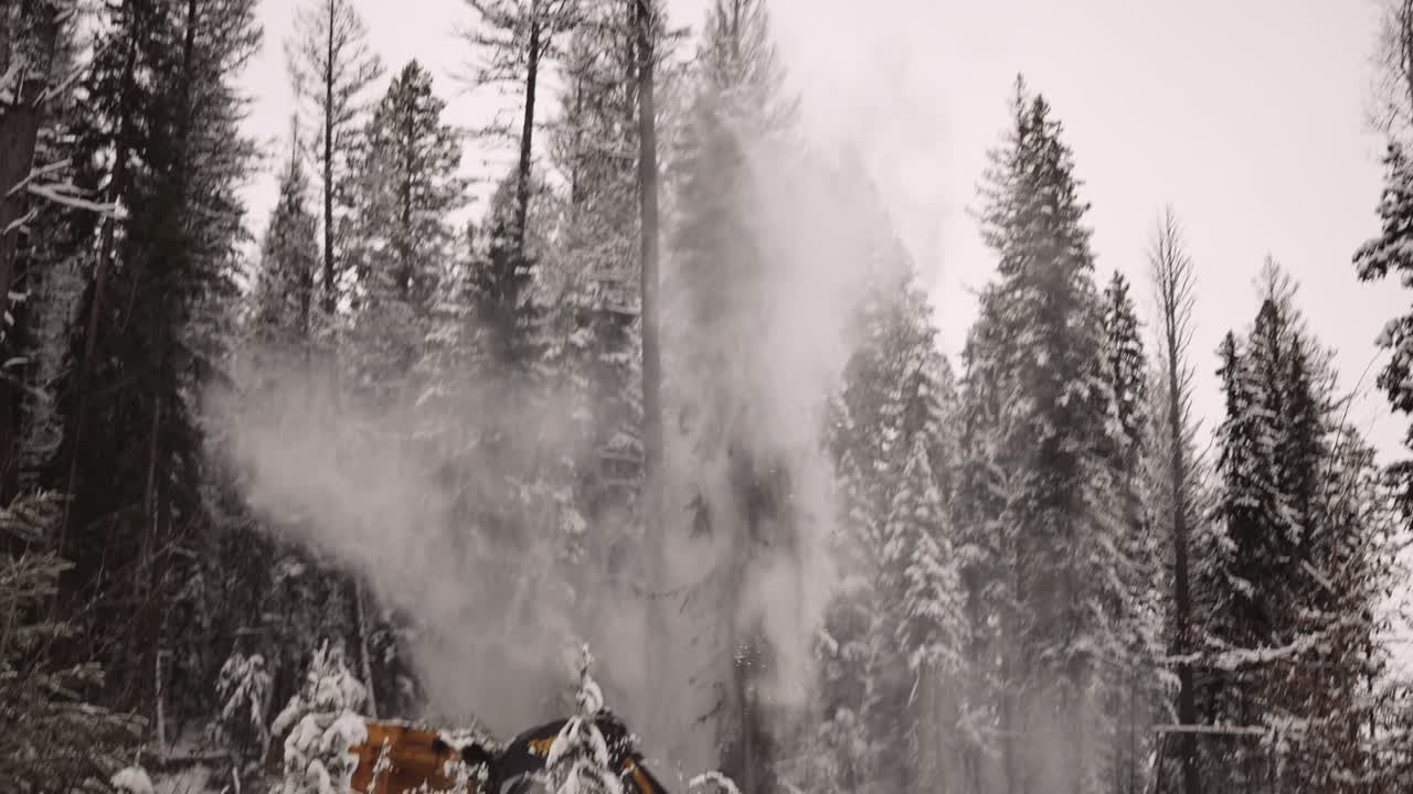 la máquina de sierra manipuladora de madera industrial derriba árboles cubiertos de nieve en una tormenta de nieve, dramática, parte de una gran serie
