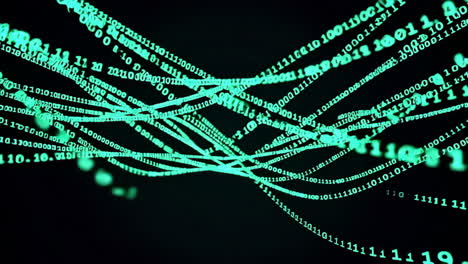 binary code network