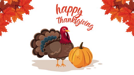 happy thanksgiving