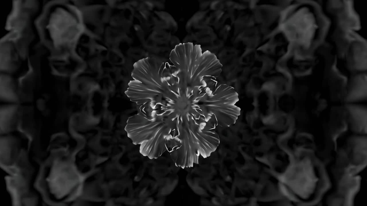 Aerial view of a black and white kaleidoscopic flower pattern, creating a mesmerizing, symmetrical