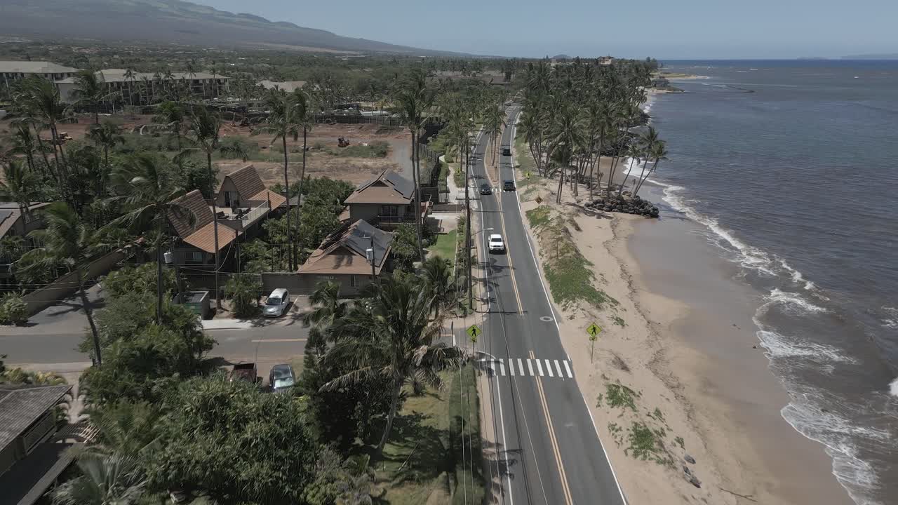 la antena baja sigue el tráfico ligero en la carretera de la playa de kihei más allá de las palmeras