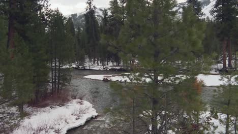 stream through snow and trees in winter at boise national forest in idaho, usa