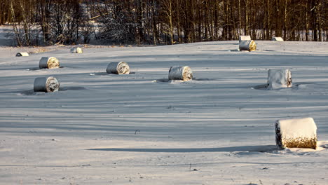 Timelapse-Of-Tree-Shadow-Lines-Passing-Over-Snow-Covered-Hay-Bales-Resting-On-Winter-Farm-Landscape