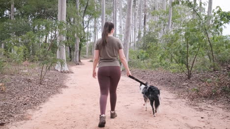 woman walking her australian shepherd dog in the park, rear view