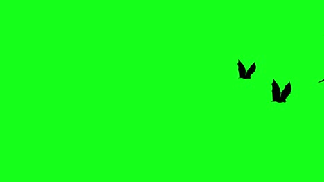silhouettes of flitter-mouse flying on green screen chroma key, halloween elements