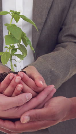 close up of business colleagues holding plant together