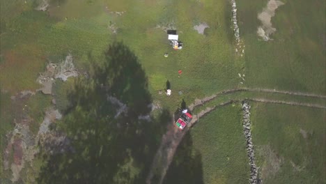 looking down on a farm worker in a field of blueberries in hope, maine aerial