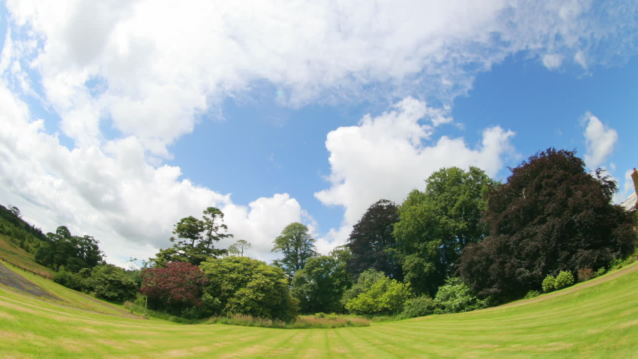 들판 하늘 어안 00