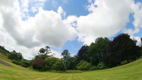 Field-Sky-Fisheye-00