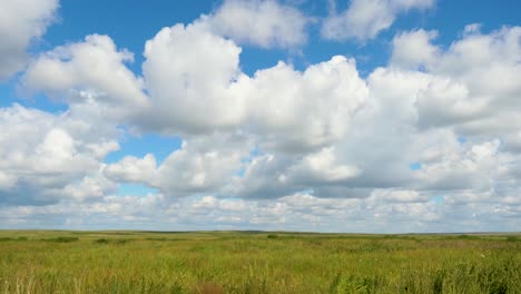 vast grassland under a cloudy blue sky