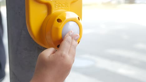 a person presses the button for the crosswalk