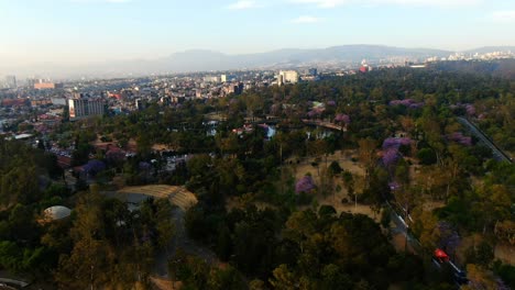 neblina en la ciudad de méxico, imágenes aéreas tomadas desde el parque chapultepec.
