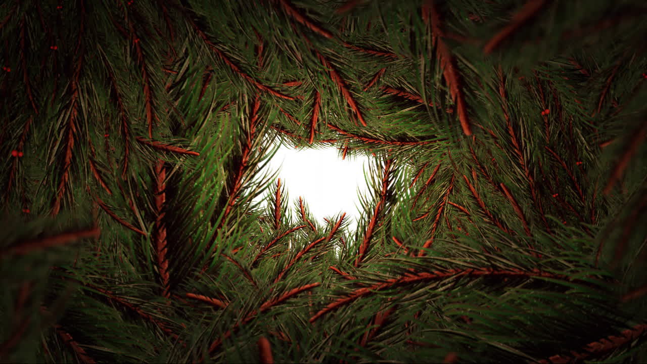 Animation of hohoho text and fir trees on white background