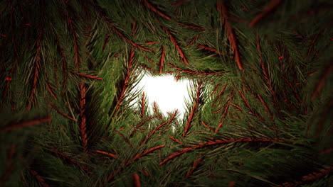 animation of hohoho text and fir trees on white background
