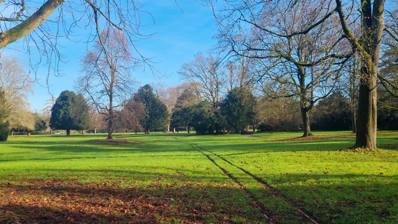 Vista panoramica del lussureggiante Schlossgarten nel centro di Karlsruhe, Germania, con rigogliosi prati verdi e alberi sotto un cielo azzurro, che offre un'oasi urbana pacifica vicino allo Schloss Karlsruhe.