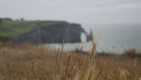 Etretat-Desde-La-Distancia-Durante-Un-Día-Nublado-En-Francia