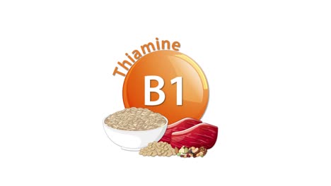 animated sequence introduces a vitamin b1 icon, then smoothly adds rice, meat, and seeds as food sources. clean white background, flat vector style