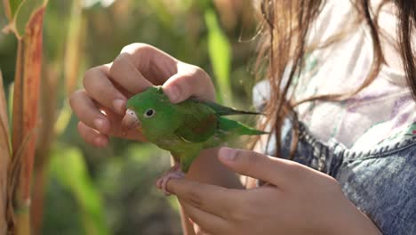 niña jugando con un periquito verde