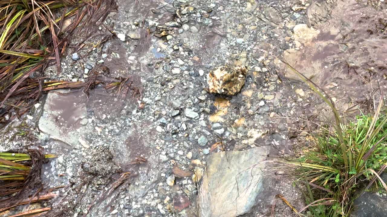 A serene stream flows through a rocky path surrounded by lush greenery in Queenstown, New Zealand, under soft natural lighting