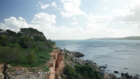 Antena:-árboles-Y-Arbustos-Crecen-En-La-Colina-De-La-Bahía-De-Mellieha-Con-Vista-Al-Mar-Mediterráneo