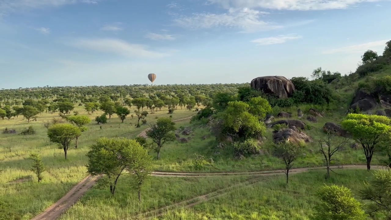 En varmluftsballon, der svæver over Serengetis vidtstrakte græsarealer. Tanzania.