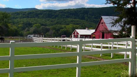 un caballo en el fondo de una cerca blanca y un granero rojo en el día en vermont