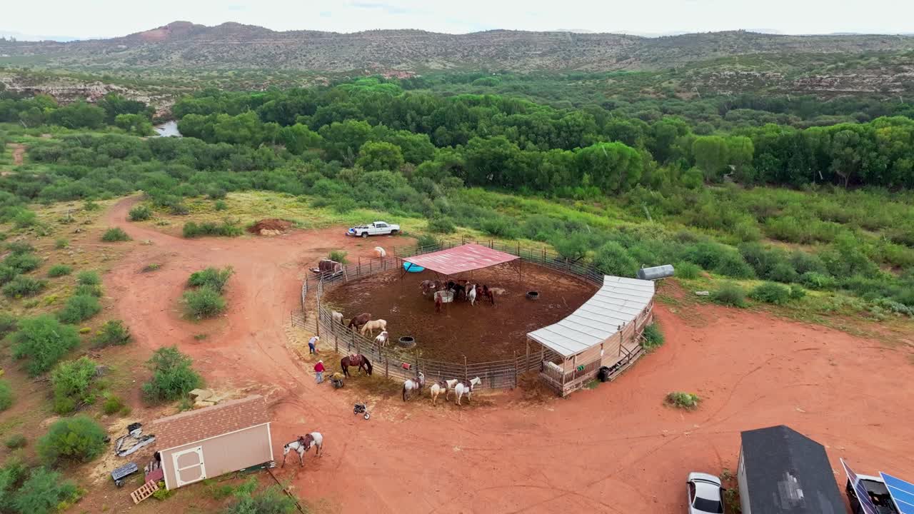 드론은 새로 뿌려진 을 먹는 말들에게 기울어져 올라갑니다. 영화적인 안테나입니다.