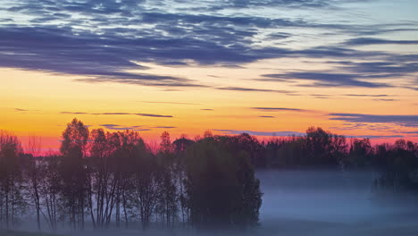 Amanecer-Dorado-Con-Niebla-Baja-A-Lo-Largo-Del-Suelo---Lapso-De-Tiempo