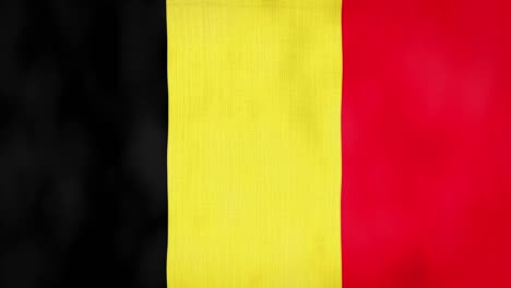 loop, real looking fabric texture and wavy belgium flag animation