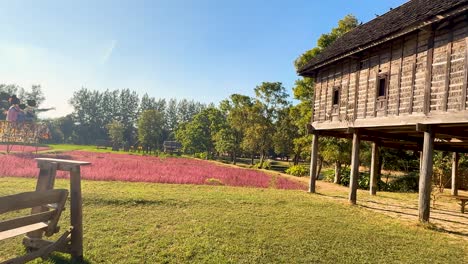 wooden house amidst vibrant fields and trees