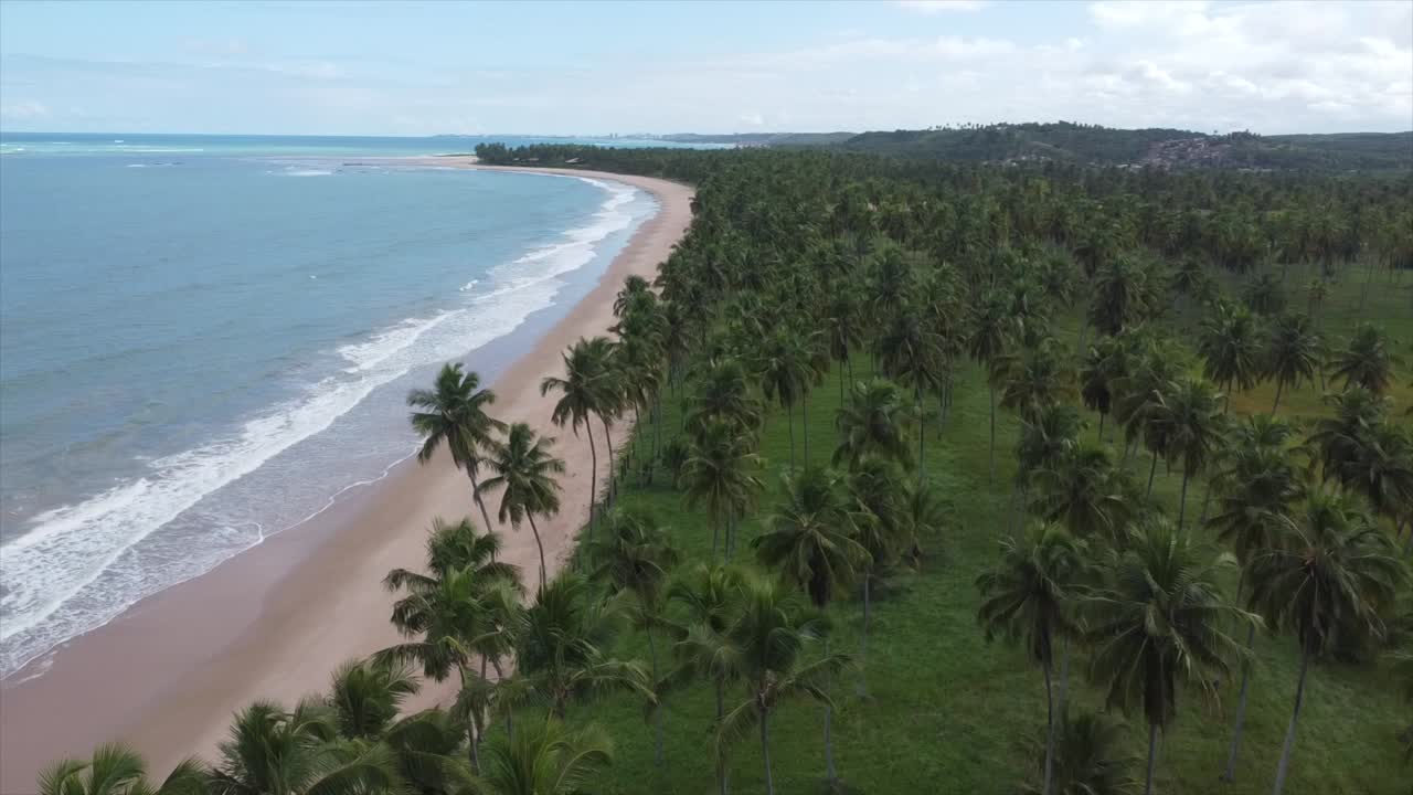 brasil playa palmera por drone k legendario