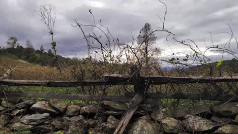 una pared rústica de piedra apilada en seco con una cerca de riel dividido cubierta de maleza y hierba que sopla en el viento