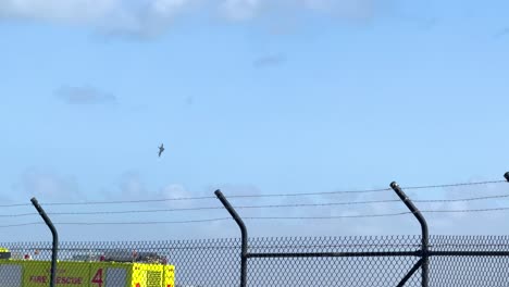 f-22 raptor performs aerial maneuvers against a clear blue sky at avalon airshow, geelong, australia. captured in bright daylight